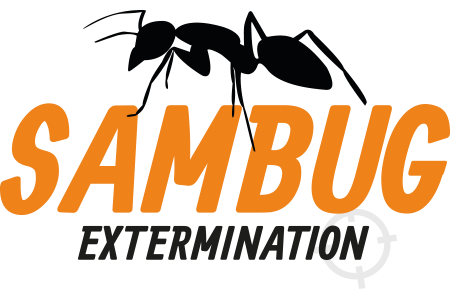SAMBUG